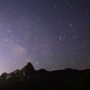 울산야생화연구회