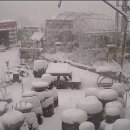 금강3농장 이미지