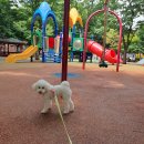 느티울어린이공원 이미지