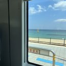 동해시-31 | [강원/강릉] 31개월아이와 함께 동해산타열차 탑승후기(좌석꿀팁) - 기차여행추천