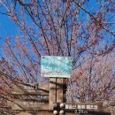 팔공산올레길 7코스 이미지