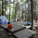 모악산 석빙고 발견 및 편백나무 숲 텐트가 요사이.......... 이미지