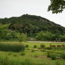 옥구공원 숲속교실 이미지