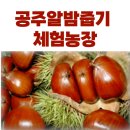 공주알밤줍기 체험농장