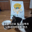 캣츠 | <26년 설+세일> [고양이사료 추천] 유리너리사료 &amp; 고양이다이어트사료 나투라다이어트 캣츠 후기