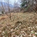 재림농장 이미지