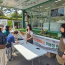 한국식물병원