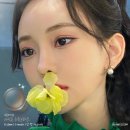 아이듀