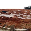 장승리 고분군 이미지