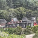 두바이애견풀빌라2 네이버블로그