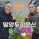 밀양광무개발주 | 밀양두피문신 후기, 만족한 분들은 왜 '의외였다'고 말할까요?
