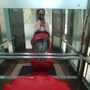 봄나드리투어 이미지