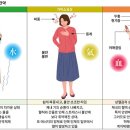 쉽게 짜증내고 불안·초조하면 '가미소요산' 갱년기 장애의 대표적인 한약제제 이미지