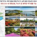 수원-1518 티스토리