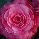 엠케이스크린골프 이미지