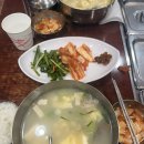 진국해장국과 북어국 | [무교동북어국집] 점심 웨이팅 후기 | 일본인 관광객 필수 코스가된 시청 직장인 해장국 맛집