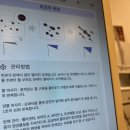 에스와이에스테틱