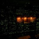 곤충생태관_1 이미지