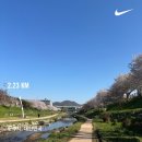 건국우유 도마대리점 | [펜션337] 공주한옥펜션 / 공주 가족여행 숙소 추천