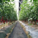 서마루농장 이미지