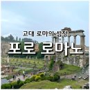 고대 로마의 심장 포로 로마노 콜로세움 통합권으로 꼭 가봐야 할 곳