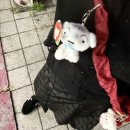 독배로R | 水の呼吸 3형