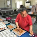 상식농장 이미지