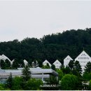 조선대학교 이미지