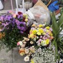 화원파출소 | [구례 꽃집] 구례 꽃다발 선물 우리화원 추천 내돈내산 후기