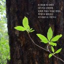 (주)삶의질연구소 이미지