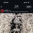 에이플디