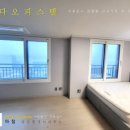 강정동-6 이미지