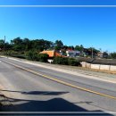 송해면-4 이미지