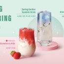 스프링가든 이미지