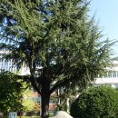 부안군립도서관 | 대륙을 넘어 경주로 이어진 실크로드를 걷다 : Ⅰ.경주에서의 첫 걸음-3