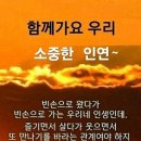 ♤蒲公英(포공영)♧ 이미지