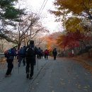안계1 Daum카페