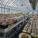 부영농장3 이미지