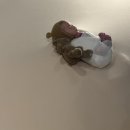 동탄제일제이에스 산후조리원 이미지