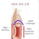 올데이코어 이미지
