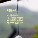 꽃의온도 이미지