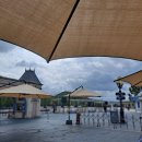 더블엑스 짐 | 7월 평일 사람 거의 없었던 에버랜드 후기 ( 대기시간, 더위, 추천 꿀팁 )