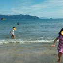 고성공룡박물관야영장 이미지