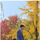 감동행정사사무소 이미지