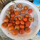 진주누리유치원 | 심란하다 심란해