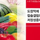 &lt;사과재배I 안토신프리미엄 I 포르테S 엽면시비 효과 있나&gt;