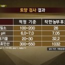 정옥순농장 티스토리