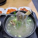 종각역점심맛집 한우 500그람이 2만원이라 핫플 인정한 육감