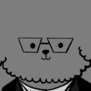 톰퍼피 강아지 분양 이미지