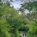 제주다정여행사 | 제주 올레길 후기 │ 초록의 심연을 걷다